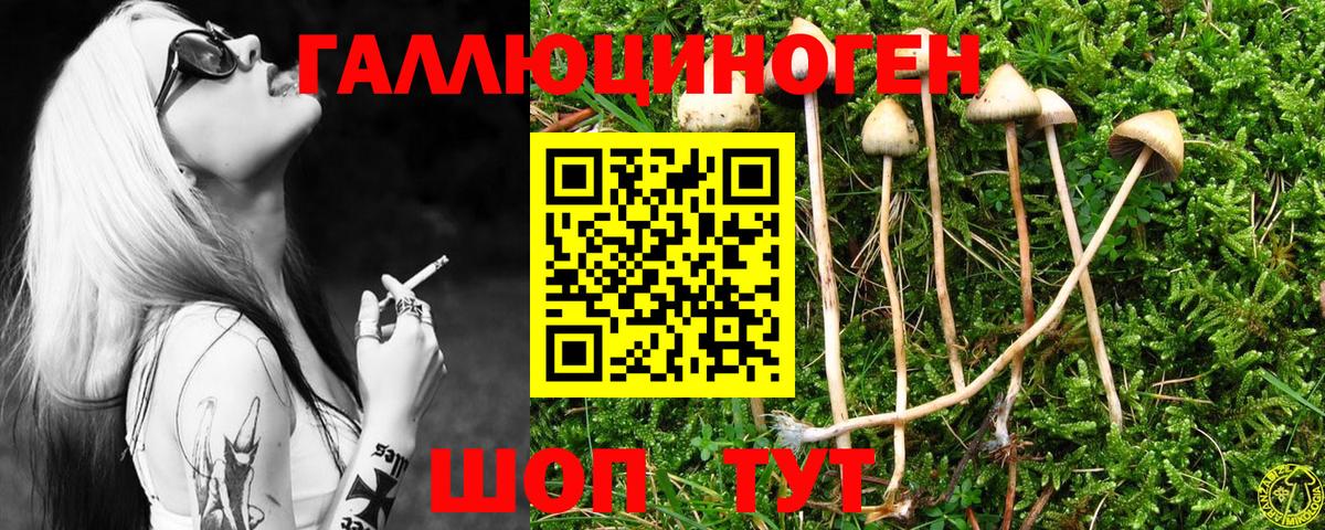 Псилоцибиновые грибы MAGIC MUSHROOMS Соликамск