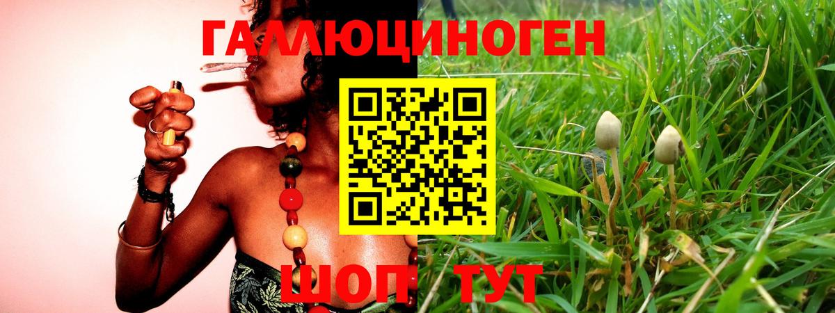 купить наркотики цена  Вход с VPN  Соликамск  Галлюциногенные грибы GOLDEN TEACHER 